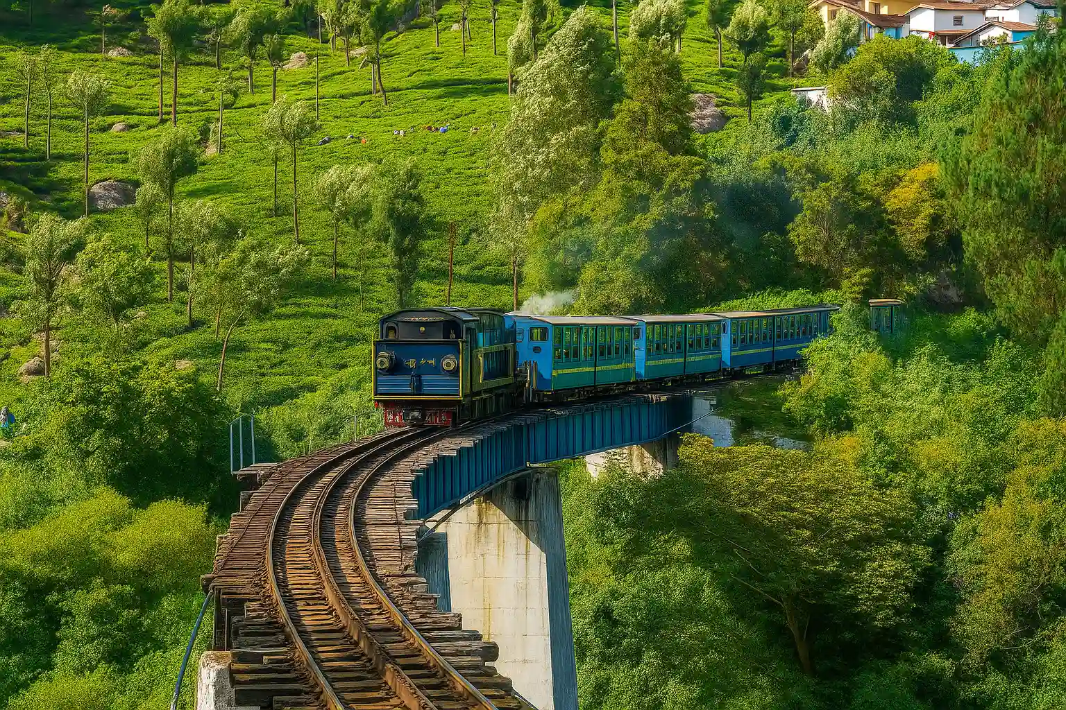 Night sky filled with stars above a quiet Ooty cottage at the best stays in Ooty.