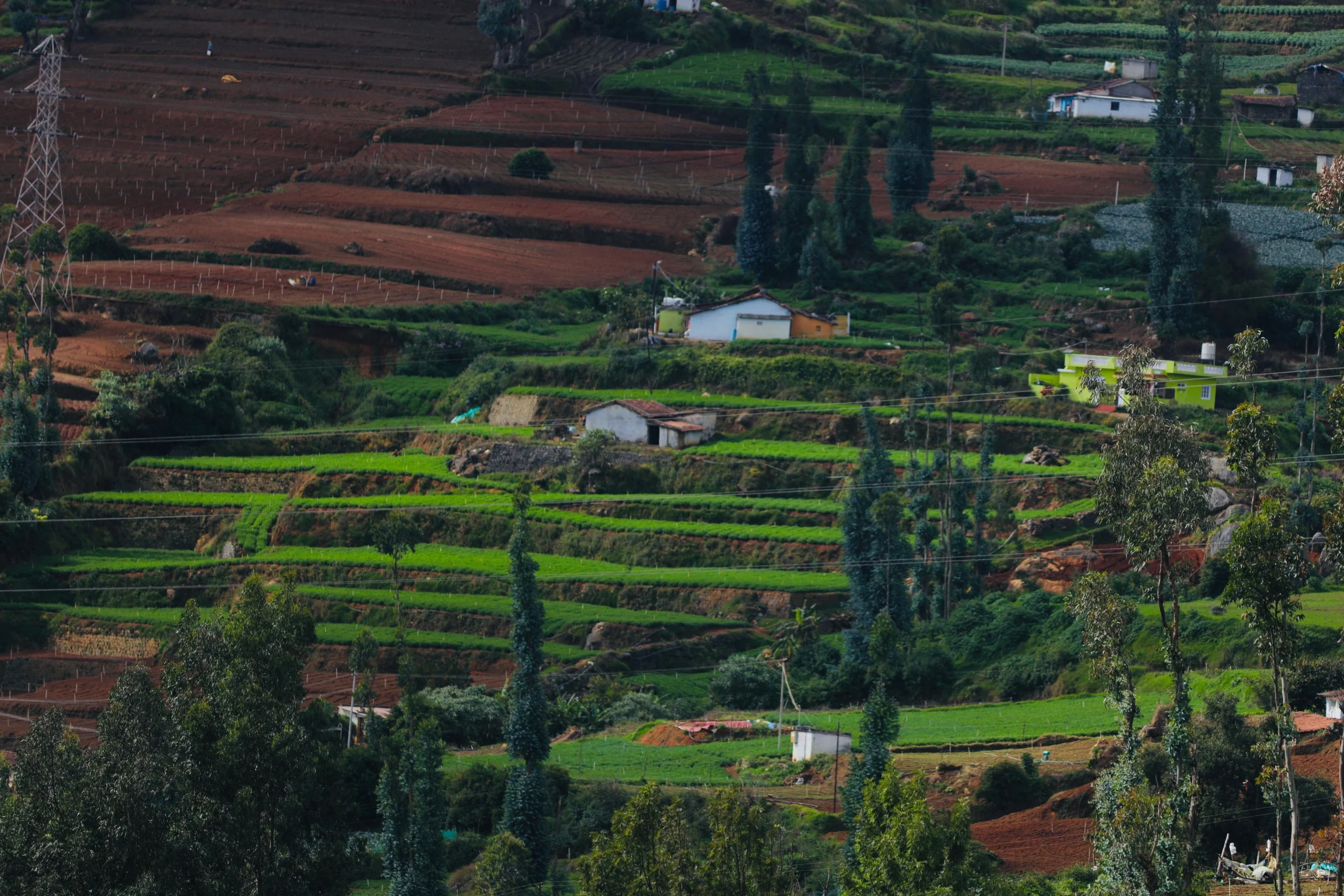 WhatsApp Image 2025-11-13 at 11.39.55_87f0d5cf