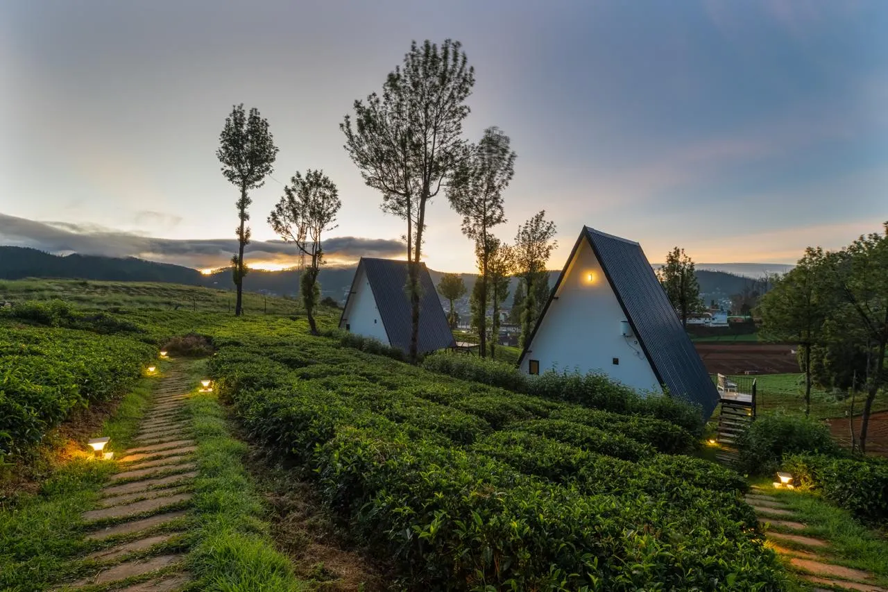 WhatsApp Image 2025-12-17 at 9.53.11 AM (2)