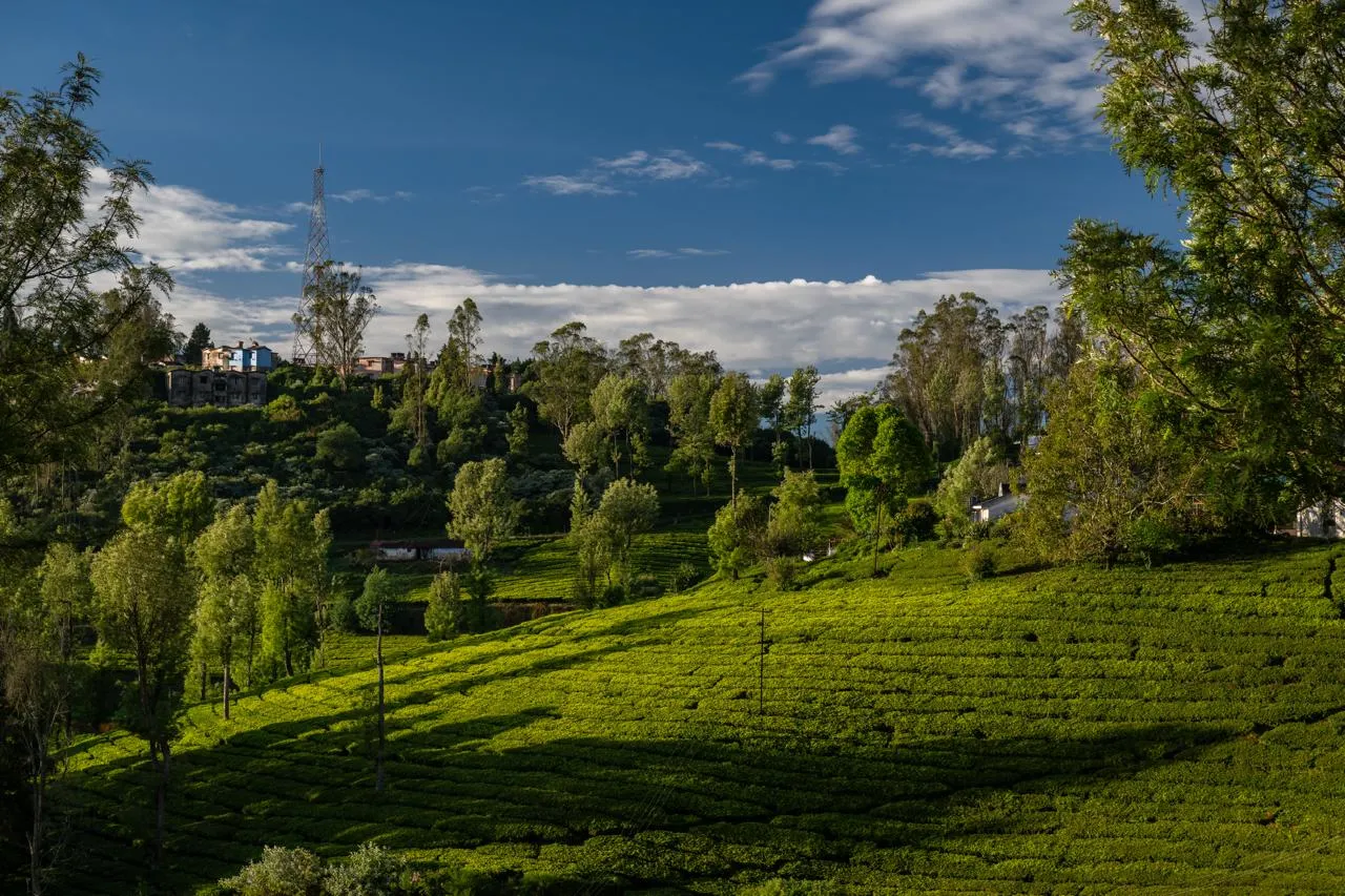 WhatsApp Image 2025-12-17 at 9.53.12 AM (2)